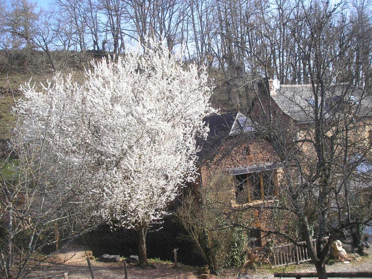 Grange Renovee En Pleine Nature * Valady