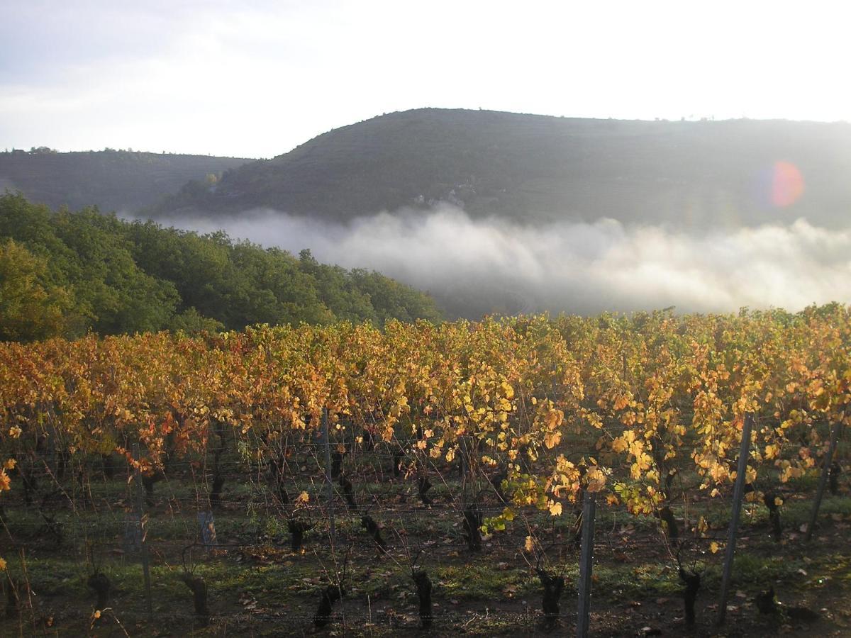 Grange Renovee En Pleine Nature Holiday home