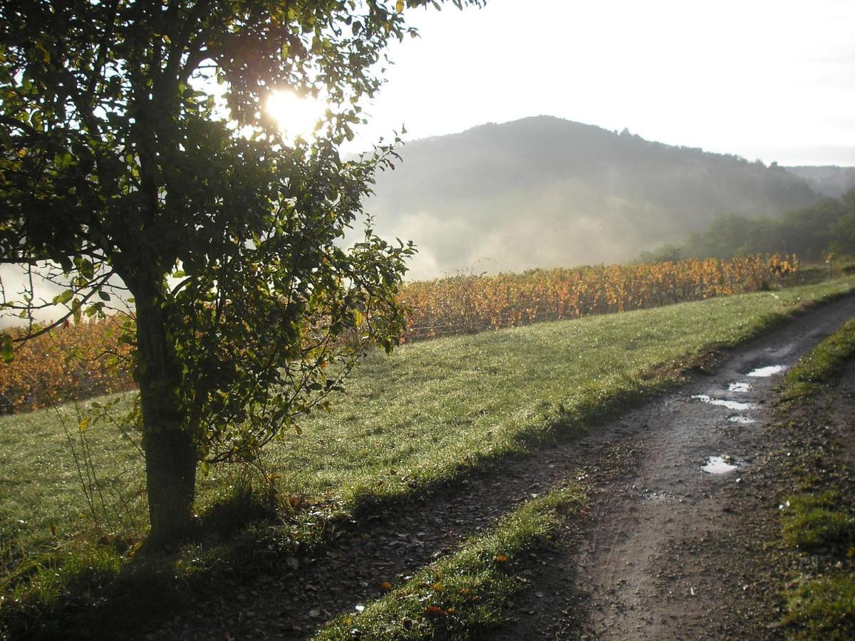 Holiday home Grange Renovee En Pleine Nature Valady